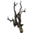 SR-icon-ingredient-Canis Root.png